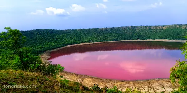 Lonar Lake View, When It was turned to Pink