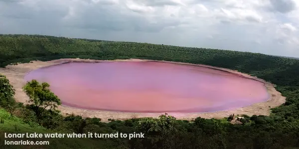 Mysteries Associated with Lonar Lake | Lonar Lake water when it turned to pink