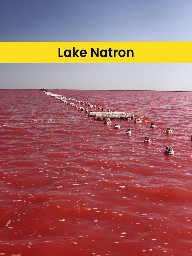 lake natron.