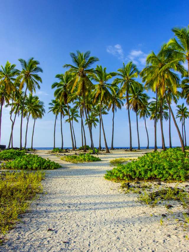 tropical places to visit out of the us