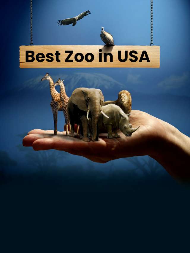 The 10 Best Zoos in the U.S.