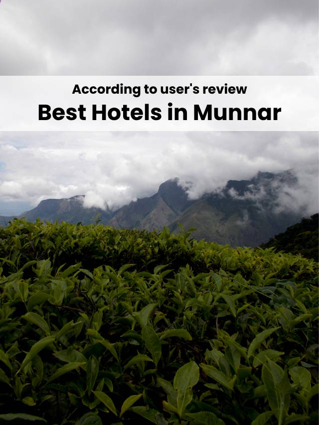 6 Best Hotels In Munnar, Kerala